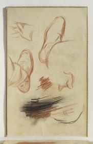 Study of Feet, a Hand and a Cat