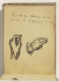 Study of Hands