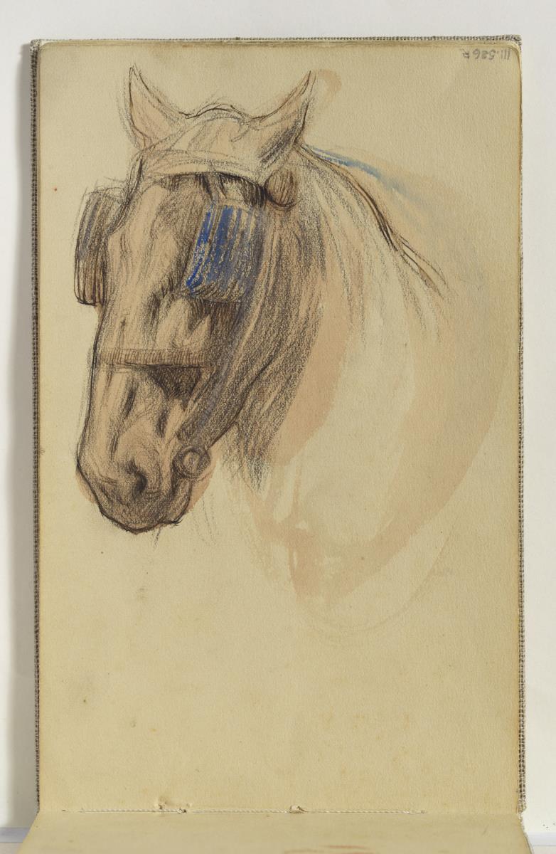 Cabeza de caballo con brida