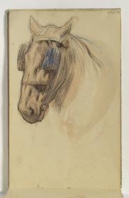 Head of a Horse in a Bridle