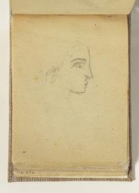 Bust of a Woman