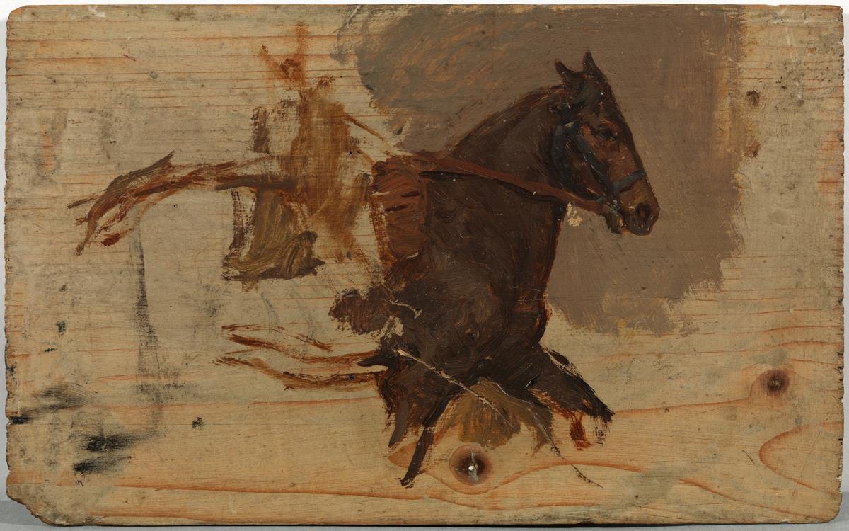 Caballo en movimiento