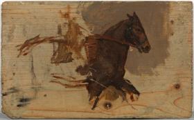 Caballo en movimiento