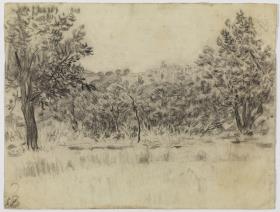 Paisaje