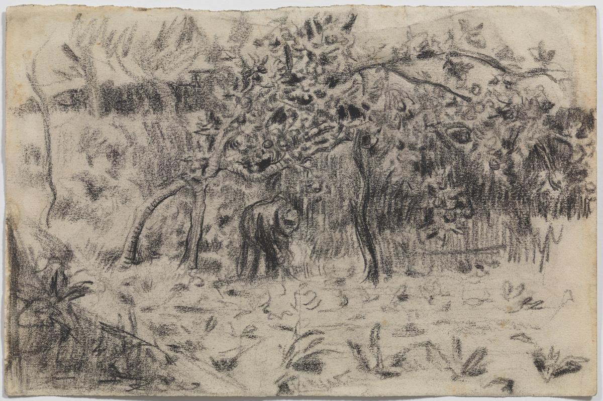 Pagès en un camp de pomeres