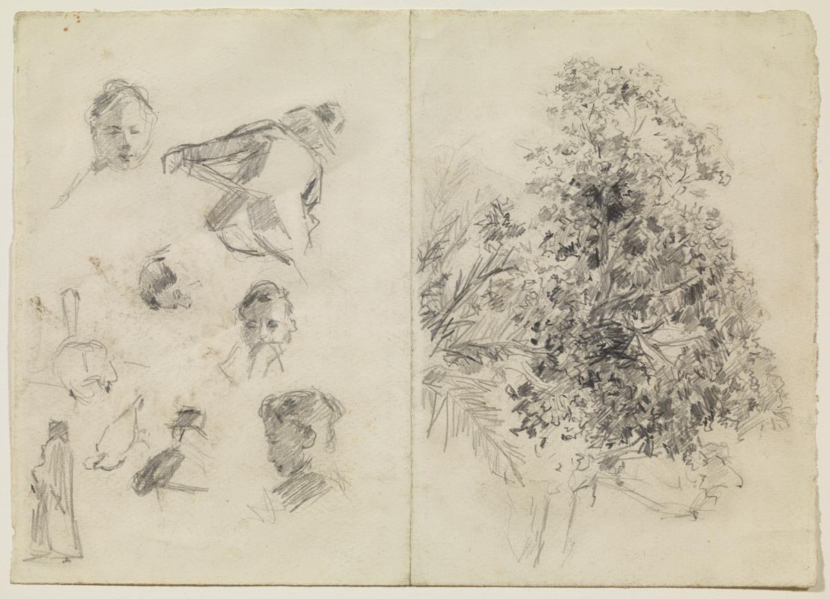 Estudio de árboles y otros croquis