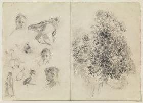 Estudio de árboles y otros croquis