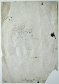 Flores y ejercicios de rúbrica