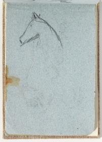 Estudio de caballo