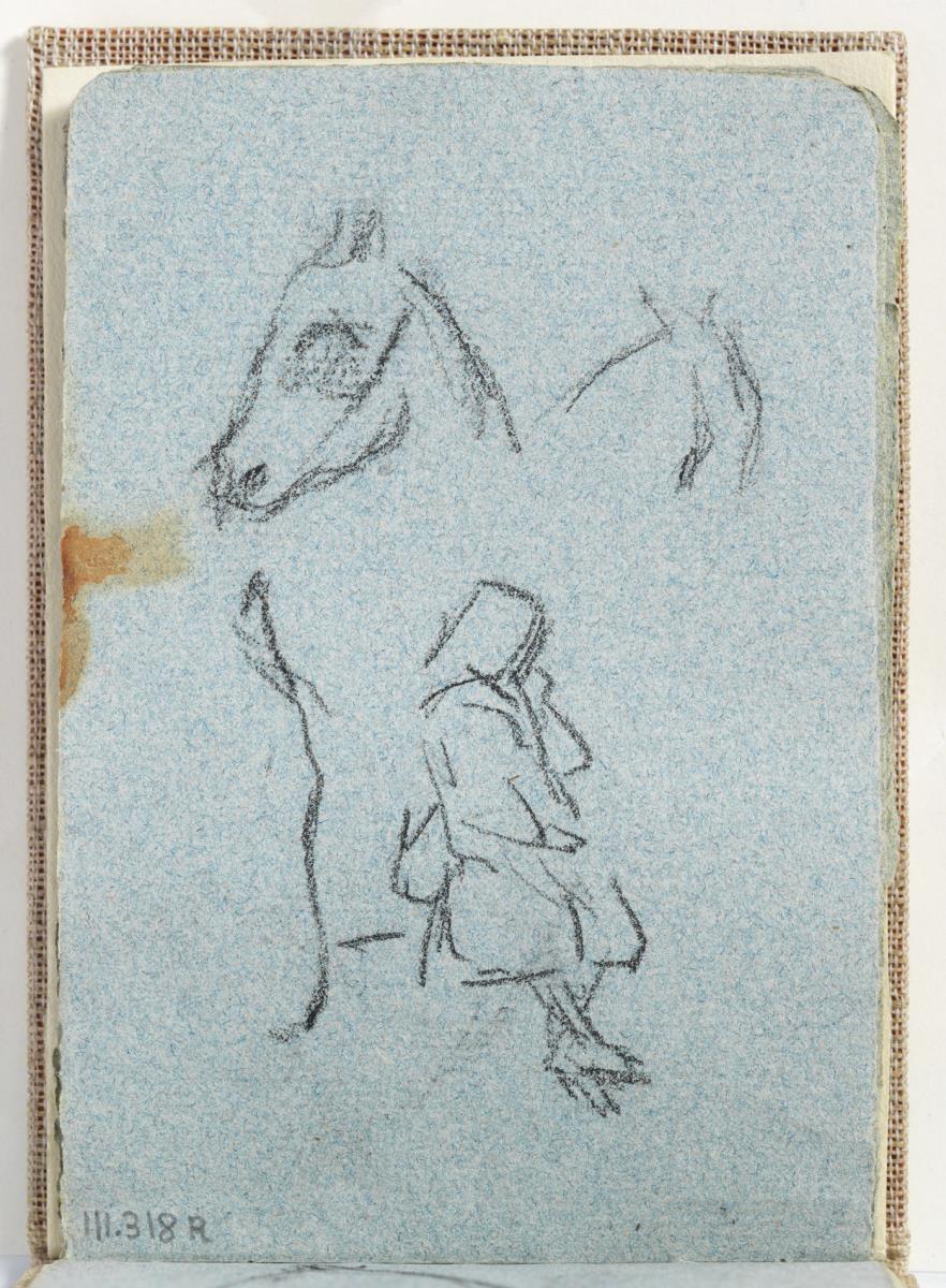 Estudi de cavalls i dona