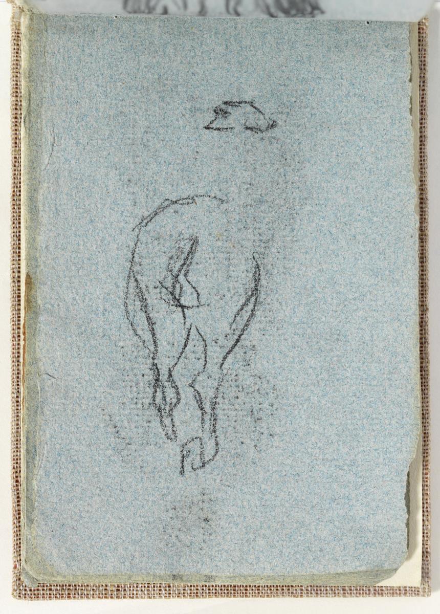 Estudi de gropa de cavall