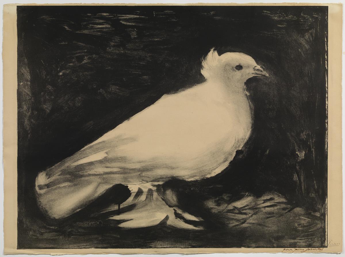The Dove
