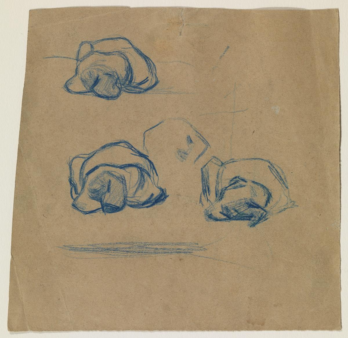 Croquis de gossos