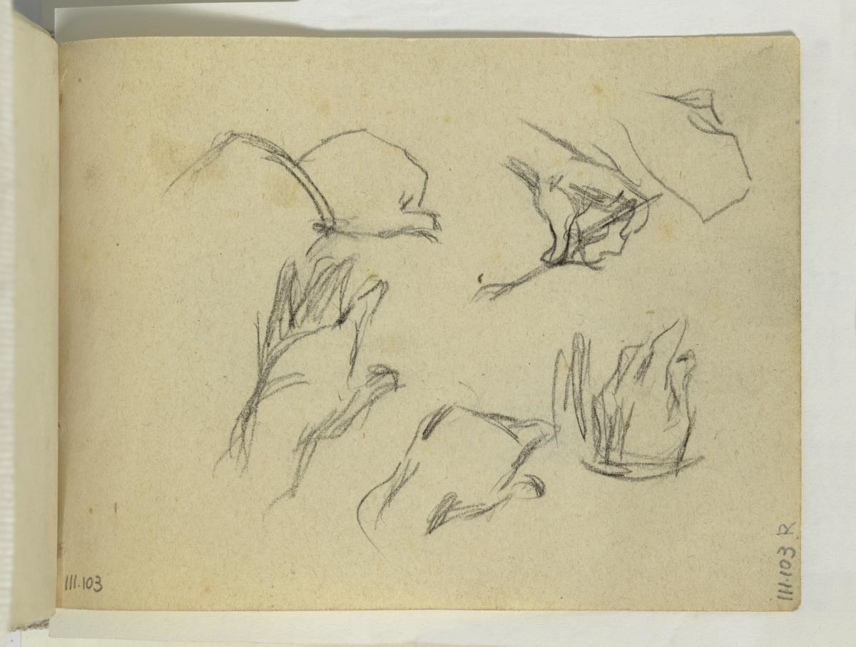 Study of Hands