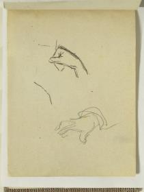 Study of Hands
