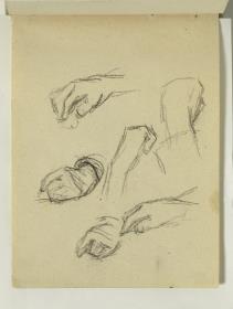 Study of Hands