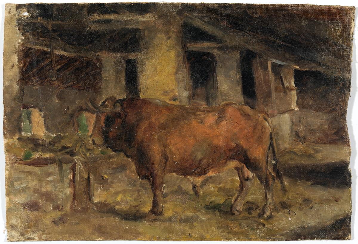 Toro