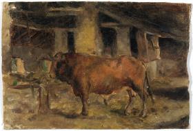 Toro
