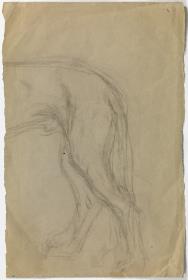 Galgo
