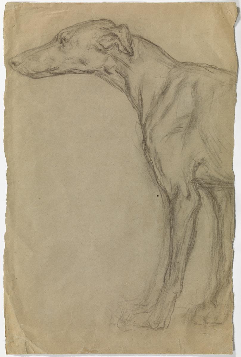 Greyhound
