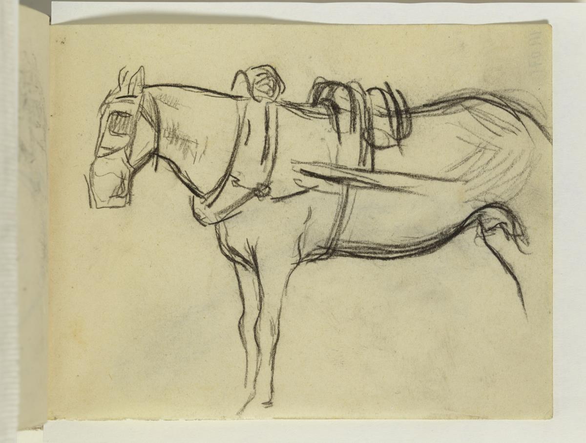 Caballo