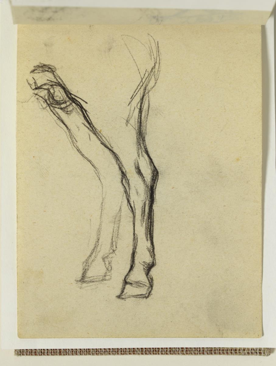 Patas de caballo
