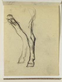 Patas de caballo