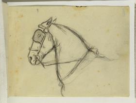 Caballo