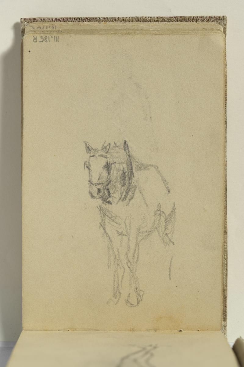 Caballo
