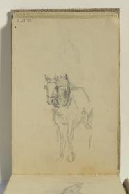 Caballo