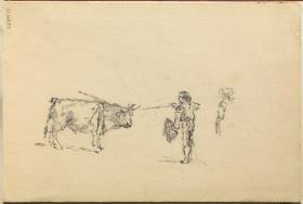 Bull and Bullfighters