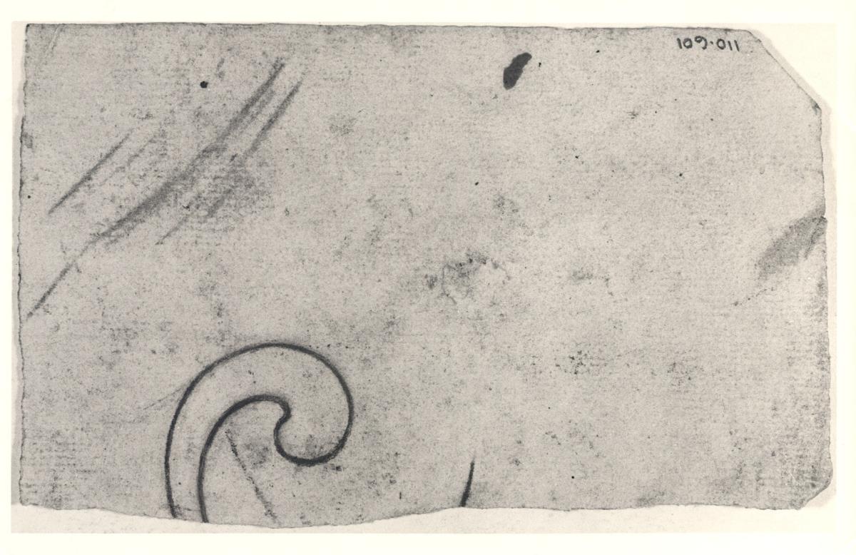 Fragmento de un dibujo