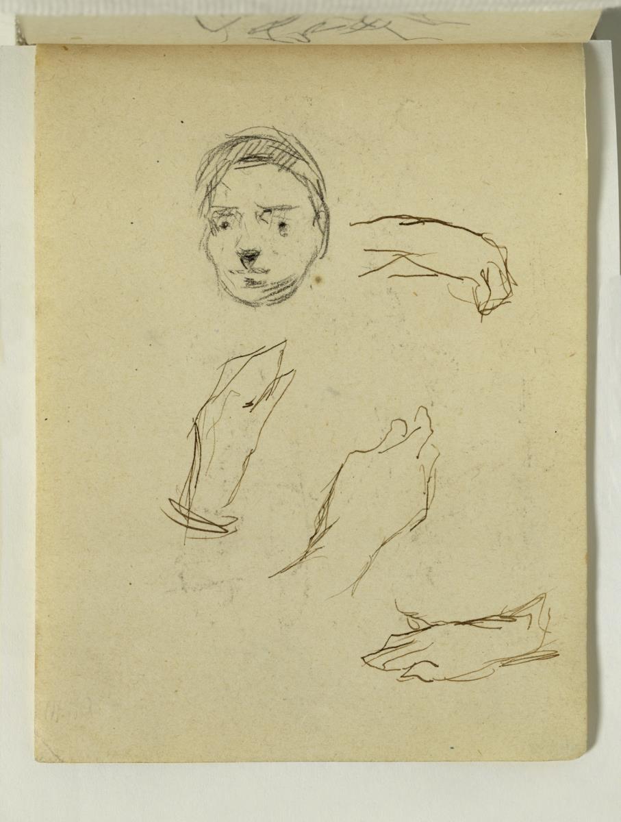 Mujer y estudio de manos