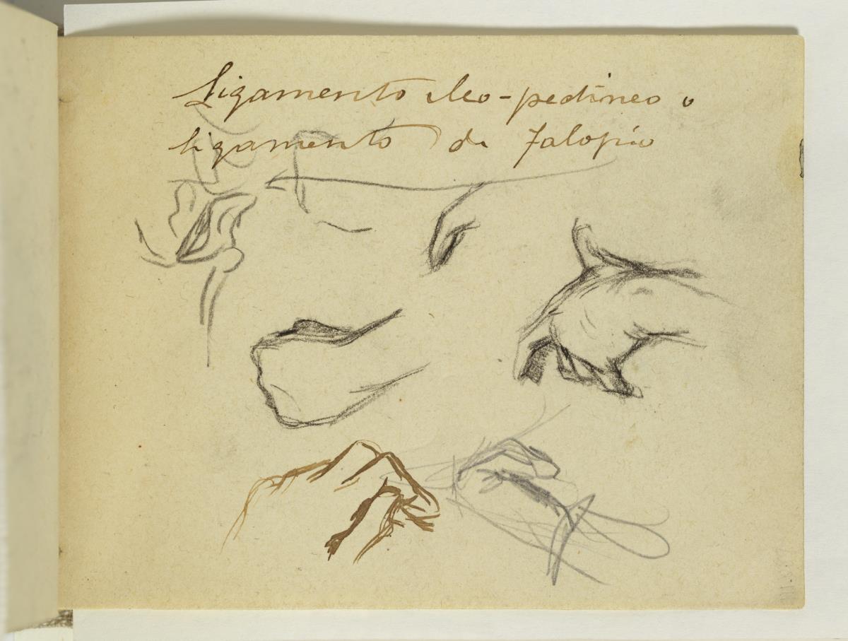 Estudio de manos y anotaciones manuscritas