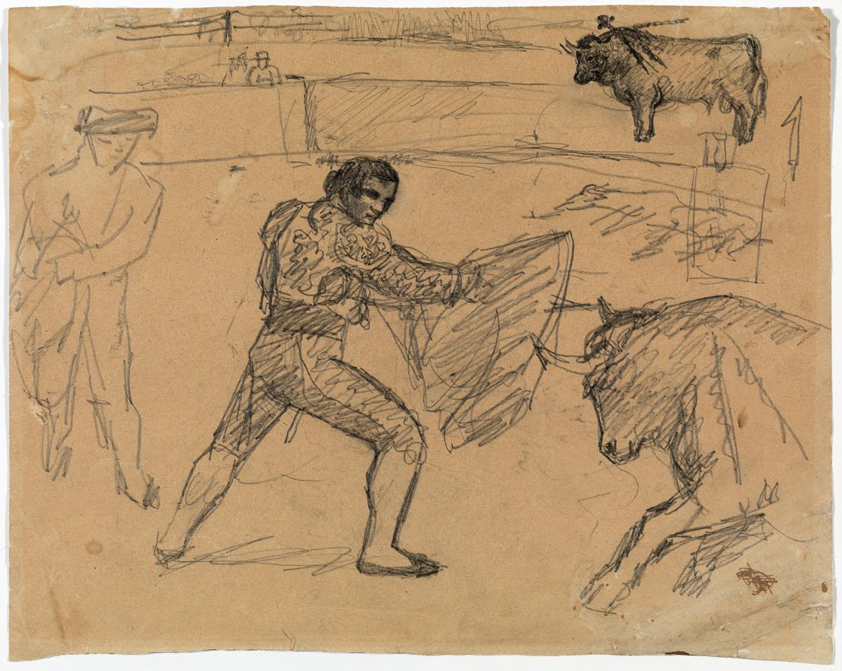 Bullfighting Scene