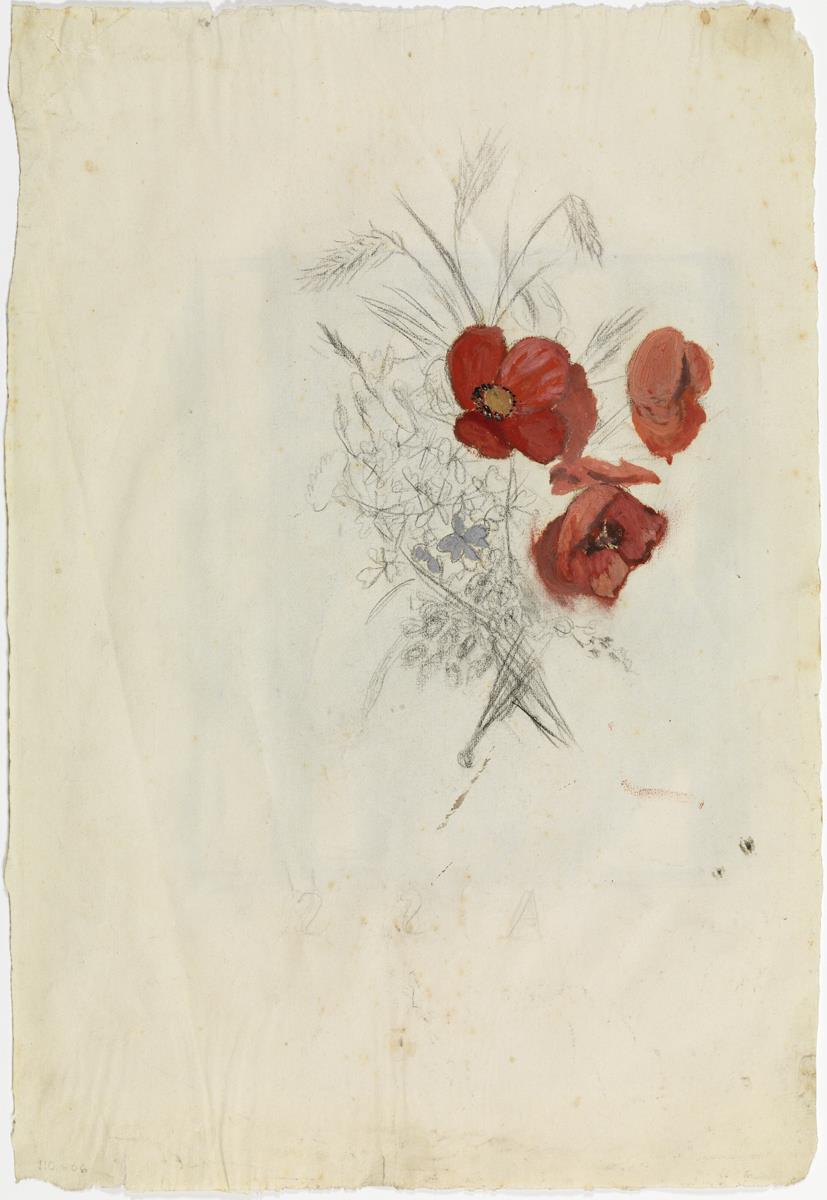 Roselles i blat