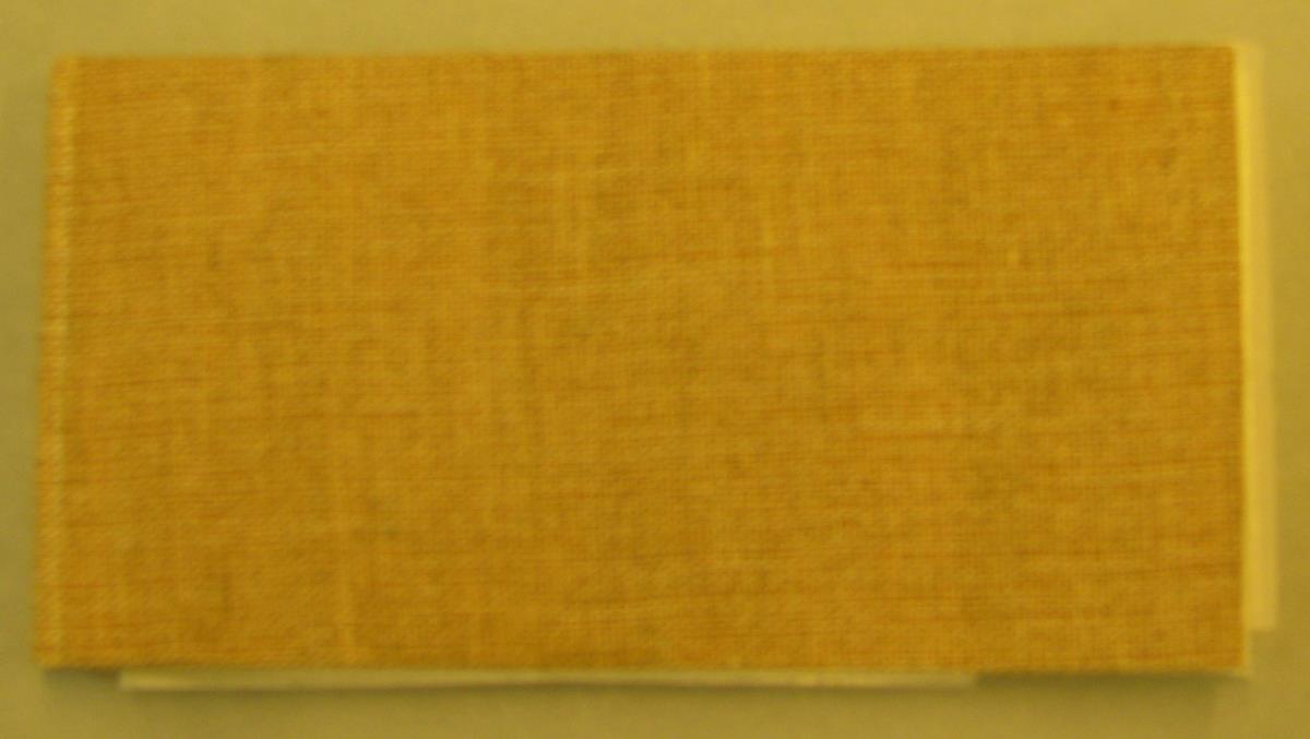 Álbum de París, 1875-1876