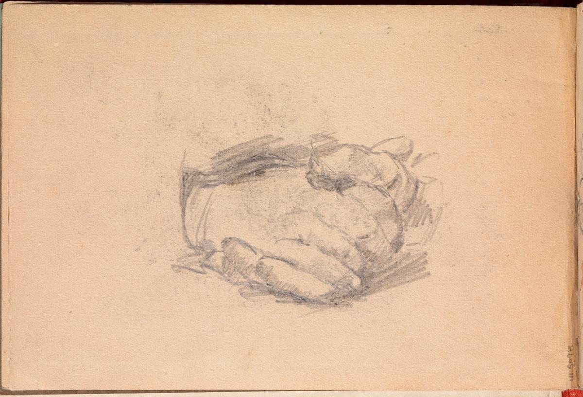 Estudi de dues mans enllaçades