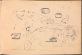Gallinas y otros croquis