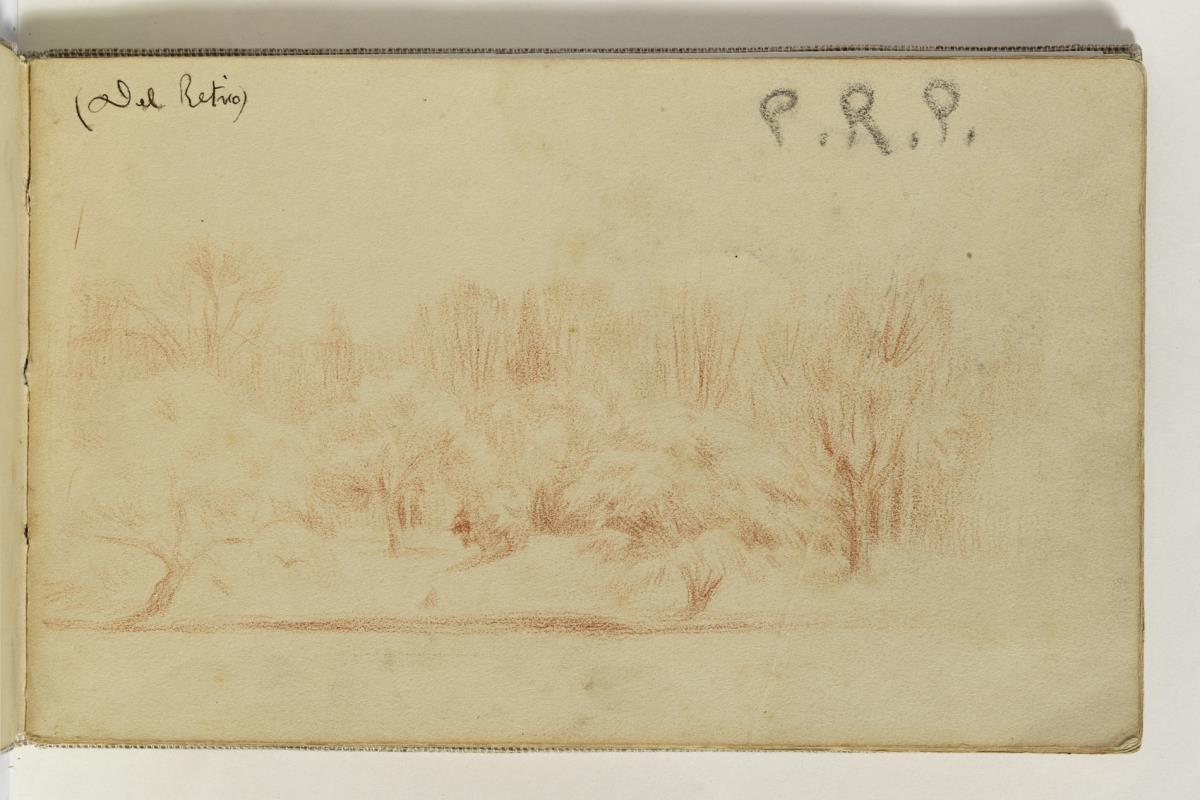 Vista del Retiro