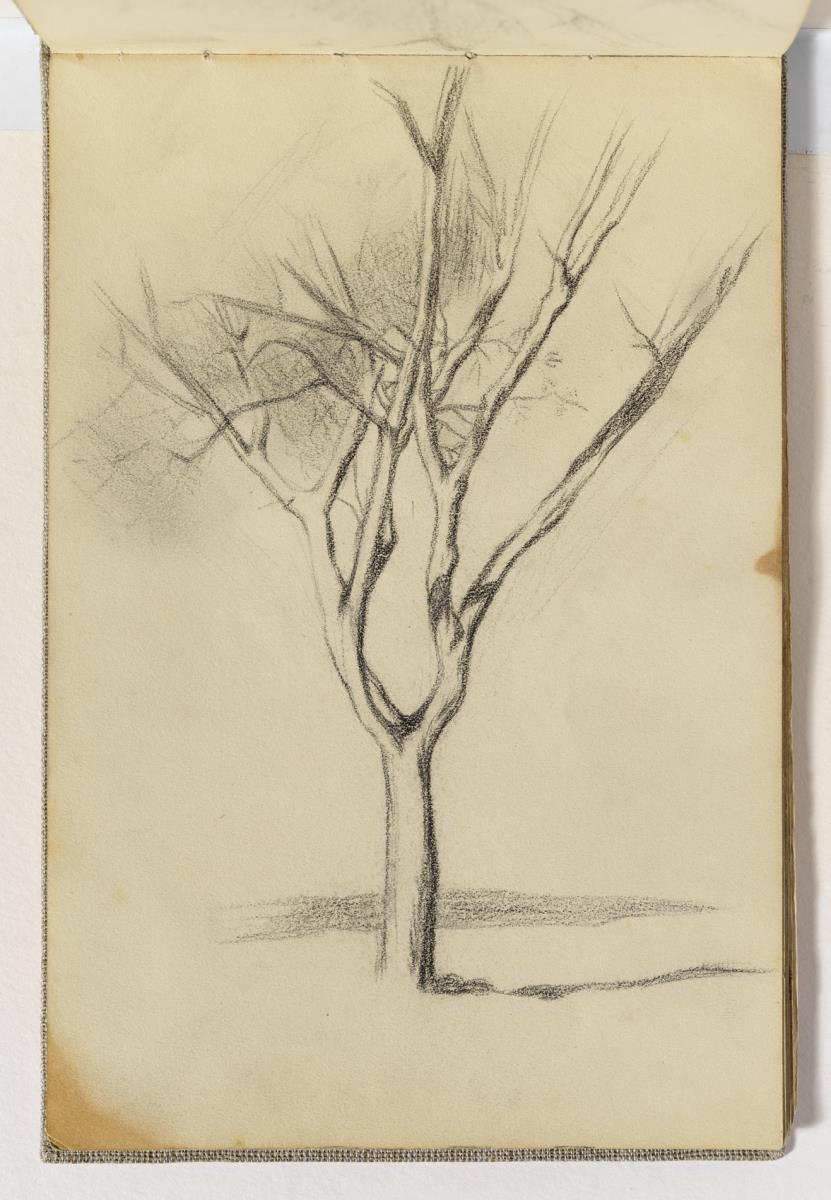 Arbre