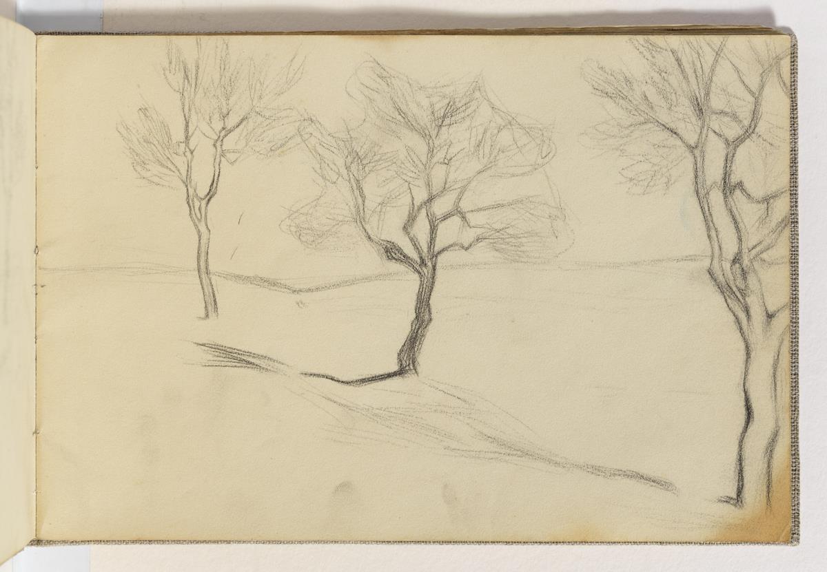 Arbres
