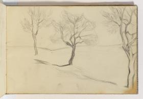 Arbres