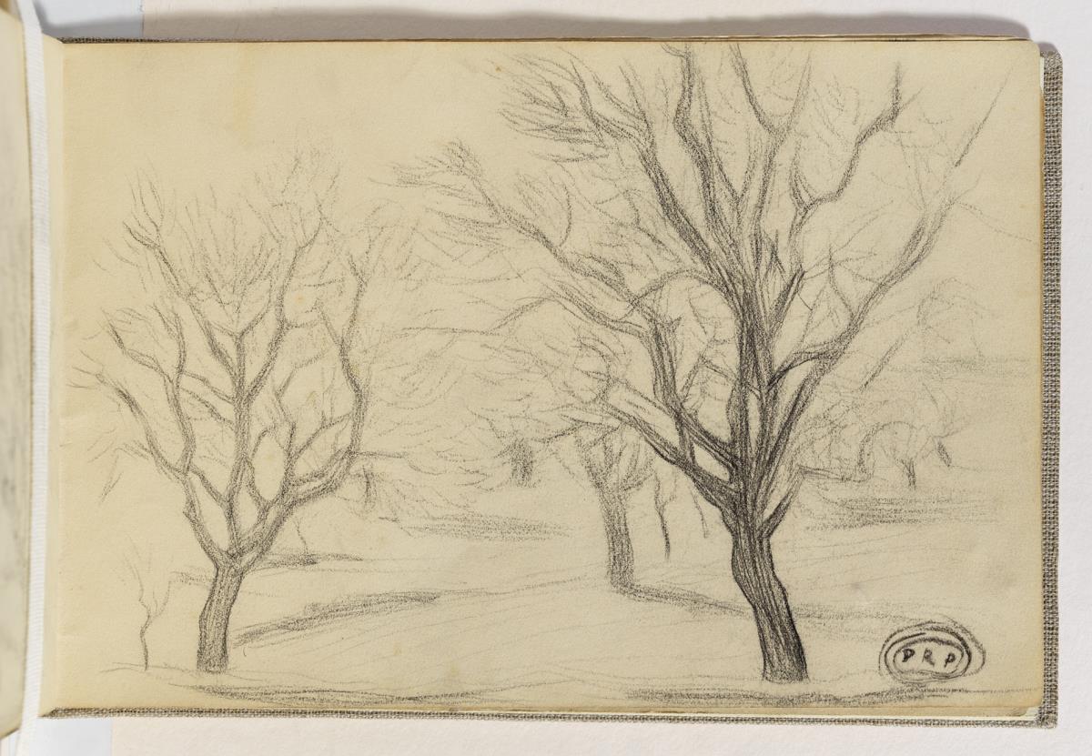 Arbres