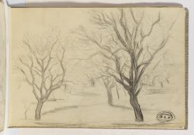 Arbres
