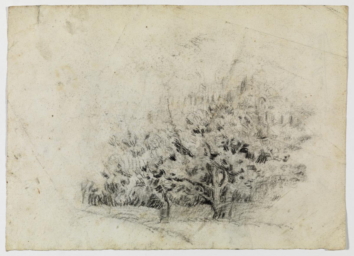 Arbres