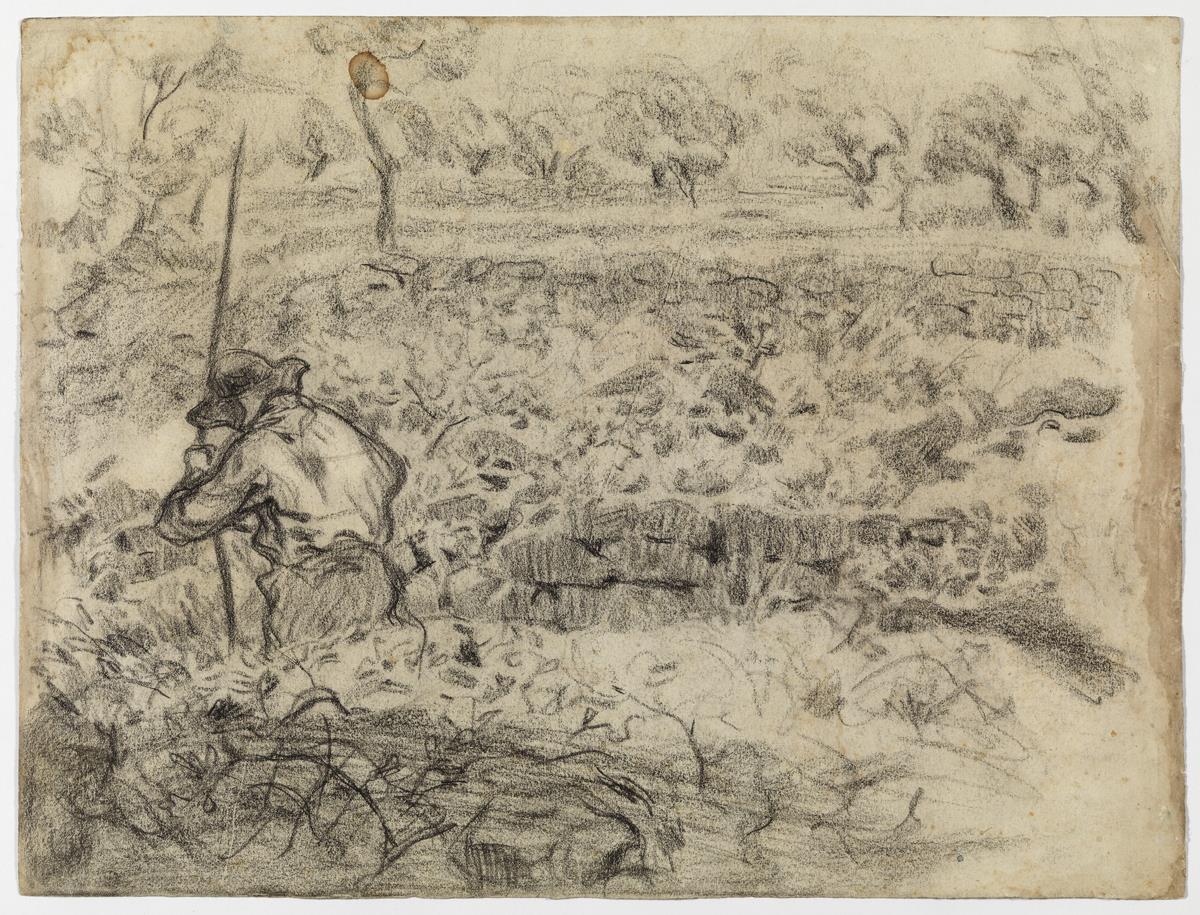 Pagès en un camp