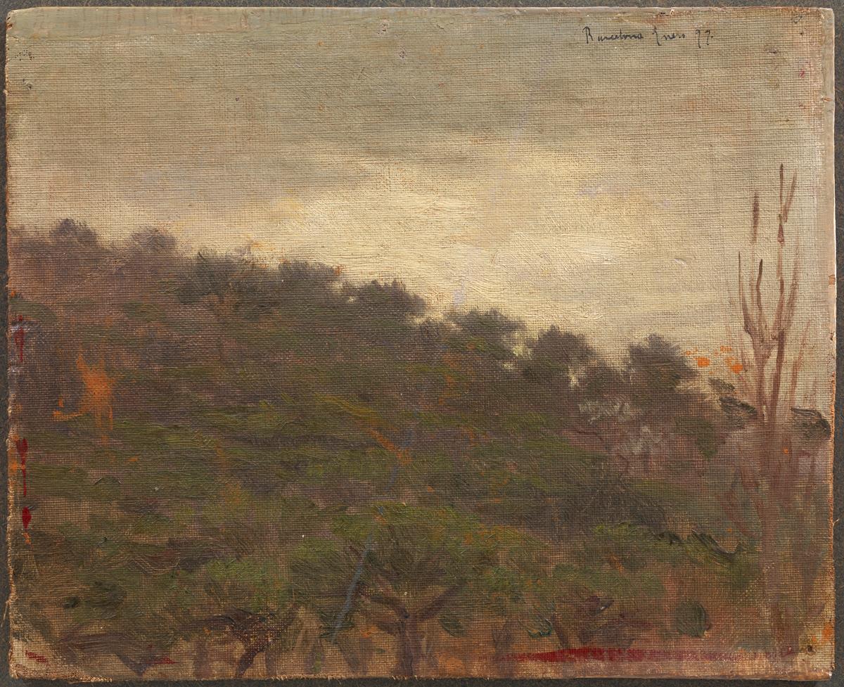 Woodland on a Mountain Slope