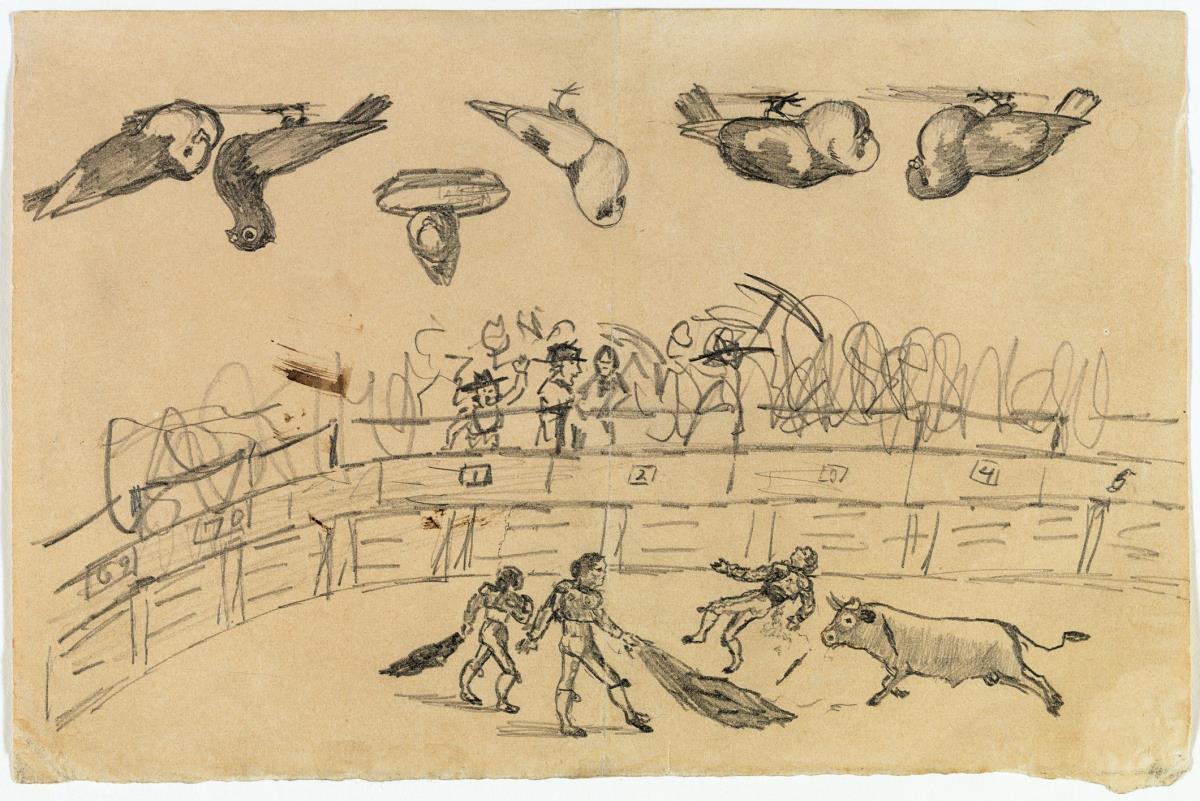 Corrida de toros y seis estudios de palomas