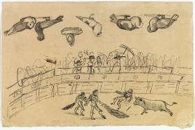 Corrida de toros y seis estudios de palomas